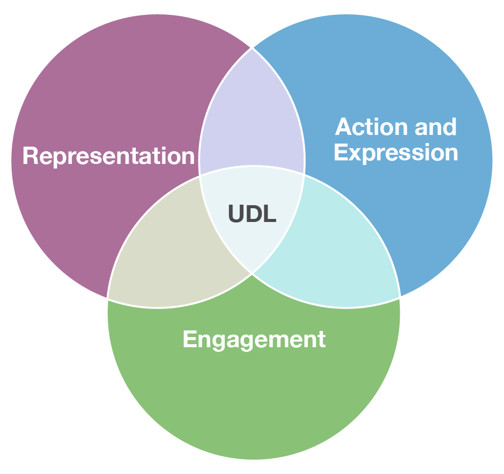 Principles of UDL Diagram